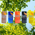 HIVE FIVE PACK GO PLASTIC FREE